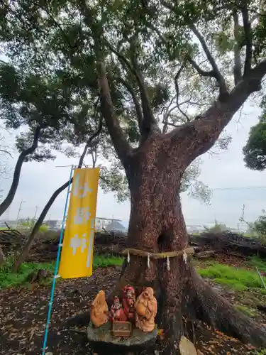 玉生八幡大神社(愛媛県)