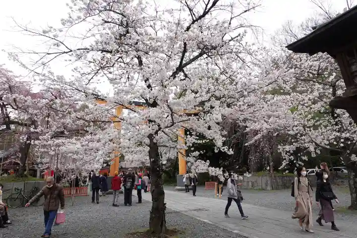 平野神社(京都府)