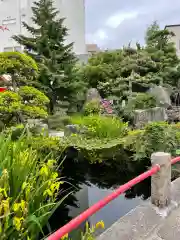 廣田神社～病厄除守護神～の自然