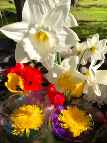 伊達神社の手水舎
