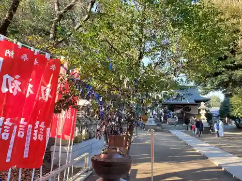 星宮神社の建物その他