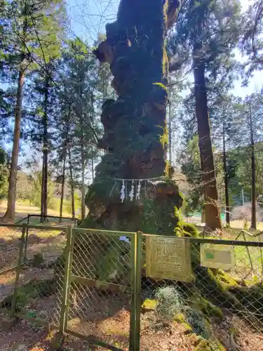 丸嶽山神社(栃木県)