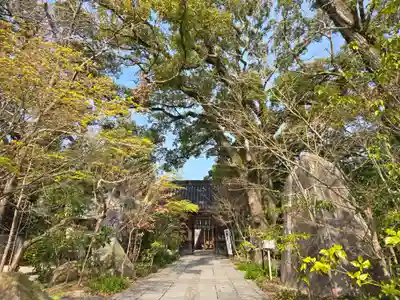 鳥飼八幡宮(福岡県)