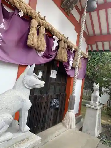 末廣稲荷神社の狛犬