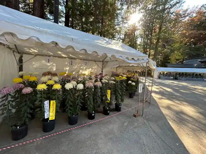 穂高神社本宮(長野県)