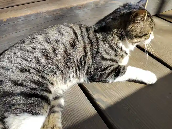 真野寺(千葉県)