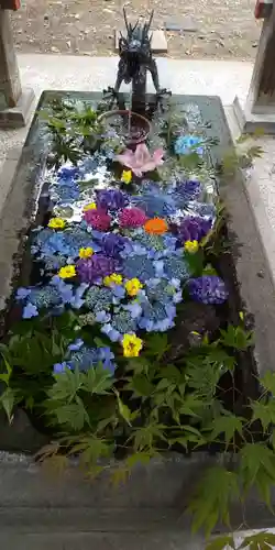 札幌護國神社の手水舎