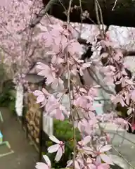 根岸八幡神社(神奈川県)