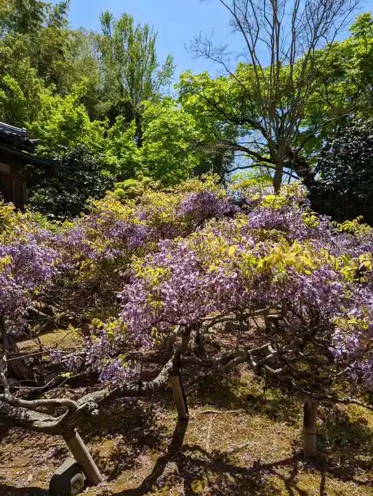 長慶院(京都府)