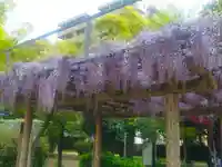 本成寺(大阪府)