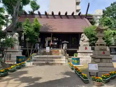高円寺氷川神社の本殿・本堂