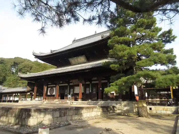 萬福寺(京都府)
