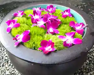 上尾御嶽神社の手水舎(2022年06月19日(日) 19時56分31秒投稿)