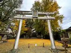 三栖神社(京都府)