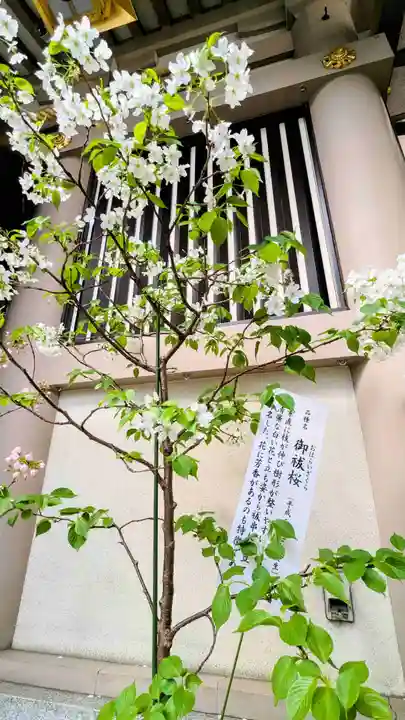 十番稲荷神社の自然