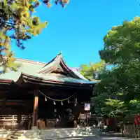 浜松八幡宮の本殿・本堂
