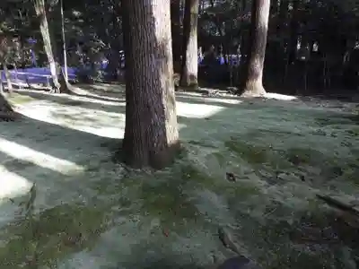 都農神社(宮崎県)