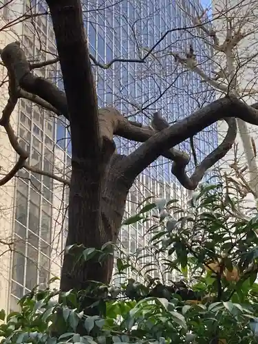 虎ノ門金刀比羅宮(東京都)