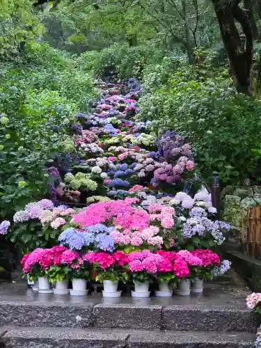 長谷寺(奈良県)