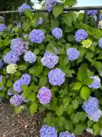 野木神社の自然