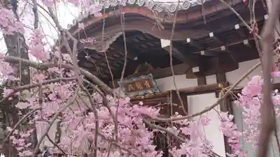 将軍塚青龍殿（青蓮院門跡）の本殿・本堂