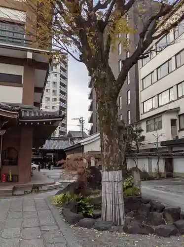 本能寺(京都府)