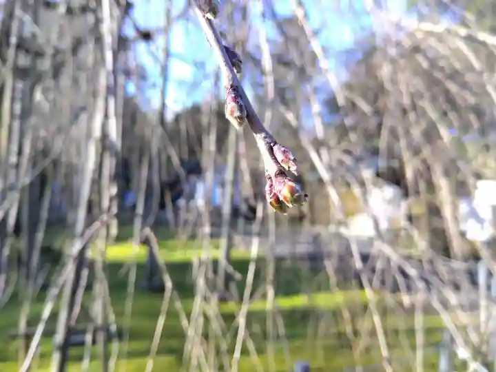 足羽神社(福井県)