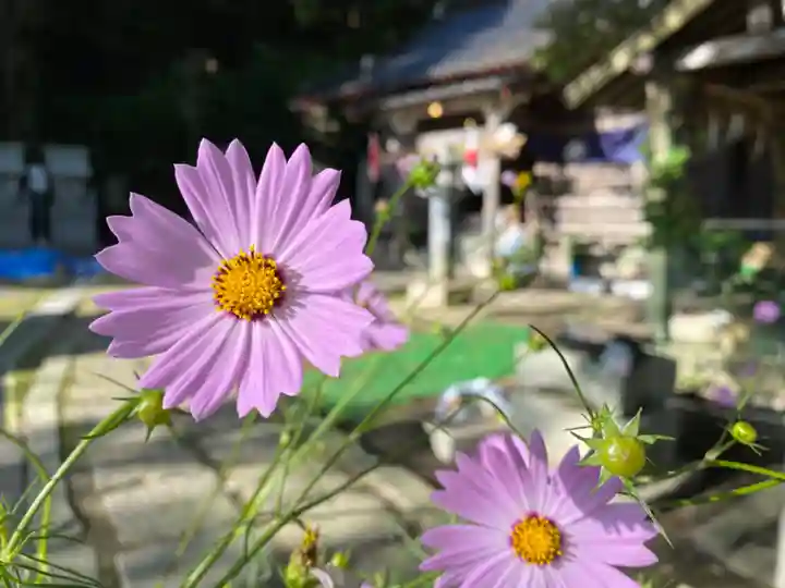 高祖神社の自然