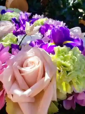 本郷氷川神社(東京都)