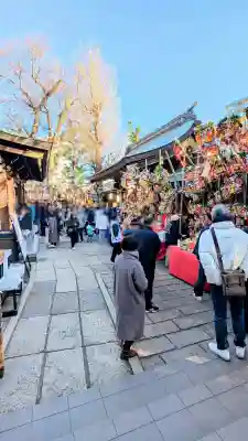 鳩ヶ谷氷川神社のお祭り