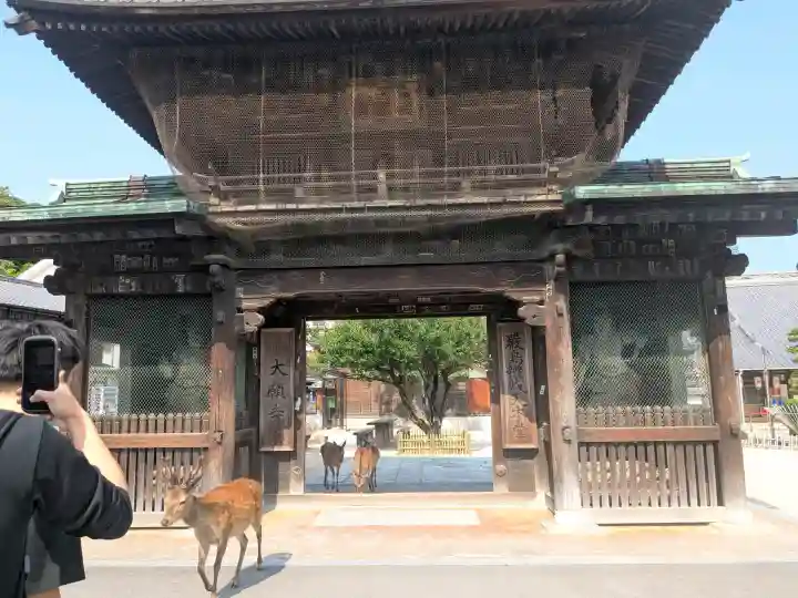 大願寺(広島県)