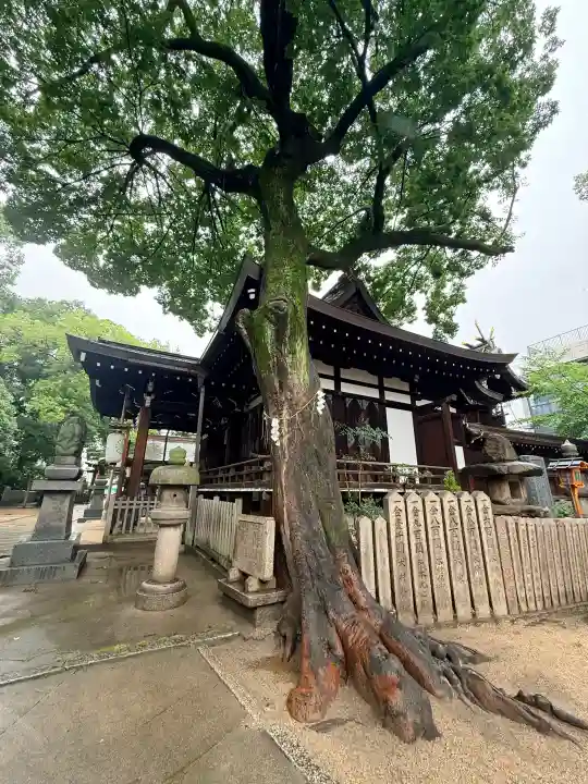 御幸森天神宮(大阪府)