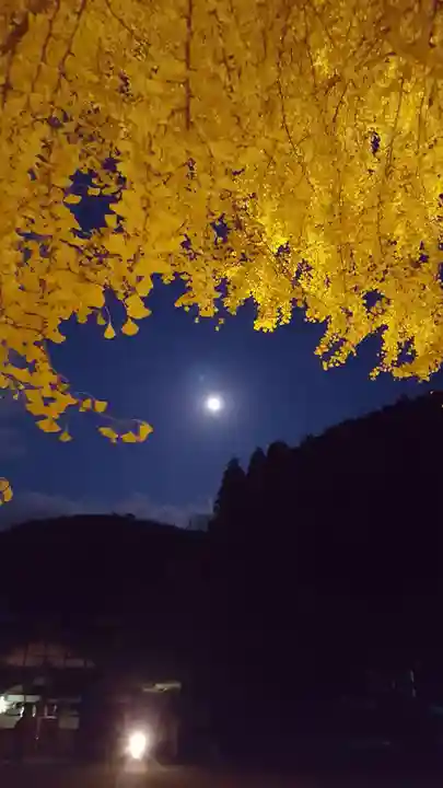 丹生酒殿神社の自然