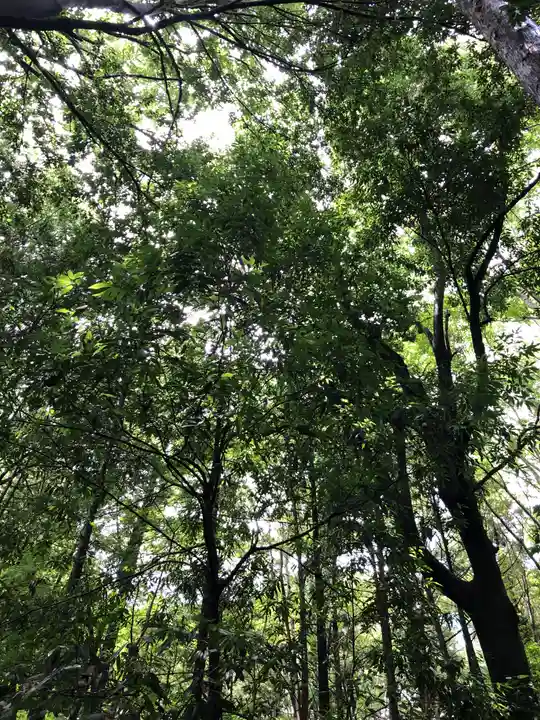 秩父神社の自然