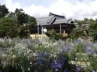 香勝寺(静岡県)