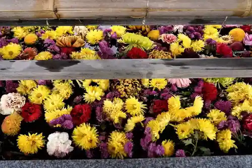 豊景神社の手水舎