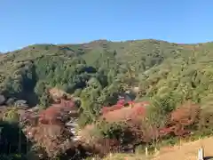 普門寺(切り絵御朱印発祥の寺)の景色