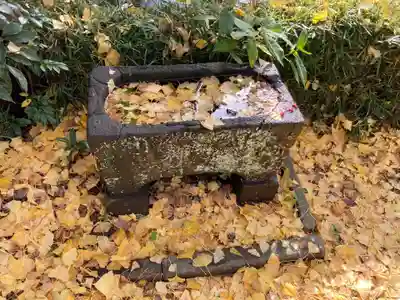 八坂大神の手水舎
