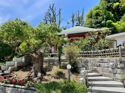 浄土宗 光明山 大蓮寺（照曜会館）(神奈川県)