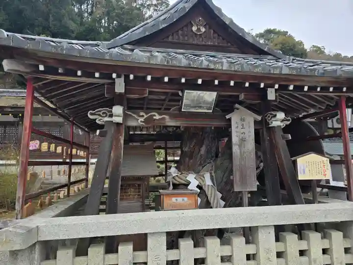 松尾大社(京都府)