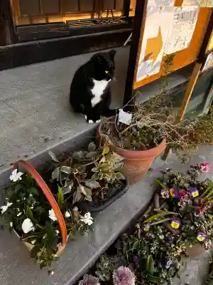 岡部春日神社~👹鬼門よけの🌺花咲く🌺やしろ~の{uncategorized: "未分類", other: "その他", undefined: "問題あり", building: "その他建物", grave: "お墓", sacred_gate: "鳥居", guardian: "狛犬", statue: "像", buddha: "仏像", history: "歴史", nature: "自然", garden: "庭園", animal: "動物", pagoda: "塔", temizu: "手水舎", mountain_gate: "山門・神門", sanctuary: "本殿・本堂", subordinate: "末社・摂社", art: "芸術", scenery: "景色", jizo: "地蔵", ema: "絵馬", goshuin: "御朱印", omikuji: "おみくじ", items: "授与品その他", amulet: "お守り", goshuincho: "御朱印帳", eats: "食事", festival: "お祭り", votive_dance: "神楽", shichigosan: "七五三参", wedding: "結婚式", experience: "体験その他", initially: "初詣", around: "周辺", anti_infection: "感染症対策"}