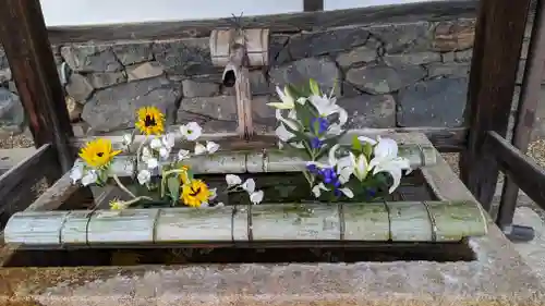 興聖寺（興聖寶林禅寺）(京都府)