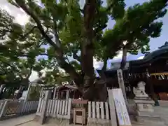 石切劔箭神社の自然