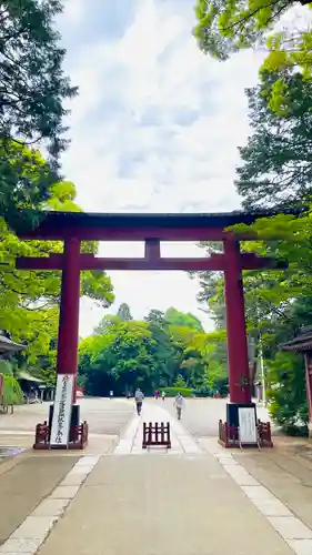 武蔵一宮氷川神社の鳥居