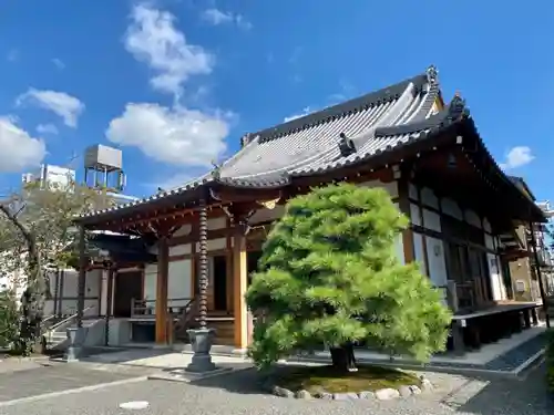 悟眞寺（悟真寺）(京都府)