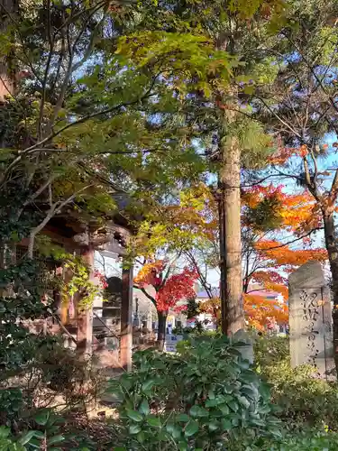 聖福寺(岩手県)