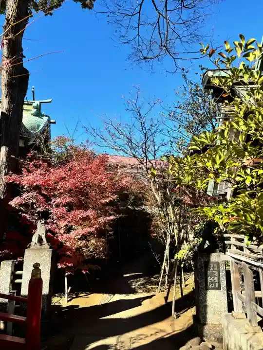須賀神社の庭園