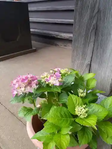 伏木香取神社(茨城県)