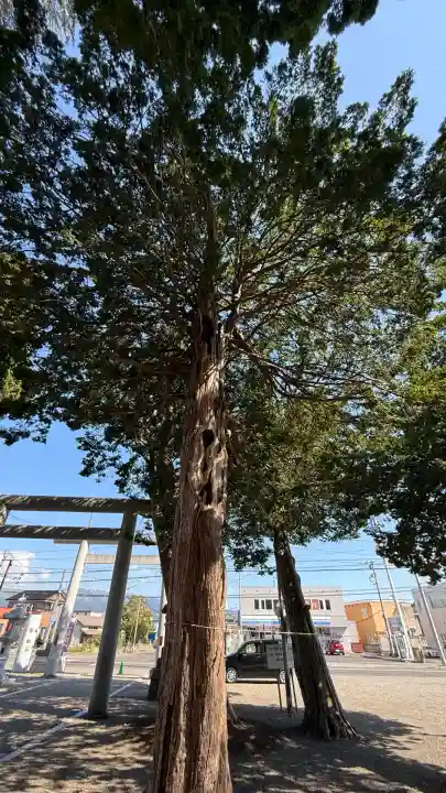 意冨比神社(北海道)