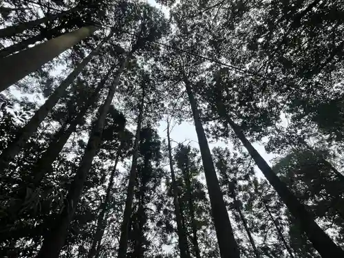 猿田神社(千葉県)